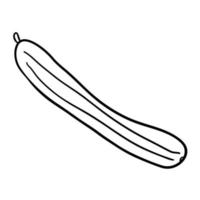 pepino linear doodle dos desenhos animados isolado no fundo branco. vetor