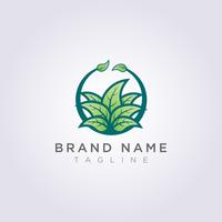 Design de logotipo de planta de folha círculo criativo para o seu negócio ou marca vetor