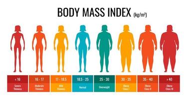conjunto de mulher de medição de gráfico de classificação bmi. infográfico de índice de massa corporal feminino com status de peso de baixo peso a severamente obeso. gráfico de controle de massa corporal médica. ilustração em vetor eps
