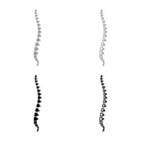 coluna vertebral humana vista lateral vértebras vértebras dorsais conjunto de contorno de ícone de ilustração vetorial de cor cinza preto imagem de estilo plano vetor