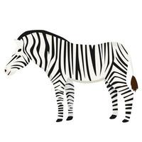 zebra em estilo simples, isolado no fundo branco vetor