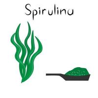 espirulina. produto natural de desintoxicação saudável. suplemento dietético orgânico algas e pó. superalimento para homeopatia. ilustração vetorial de desenho animado vetor