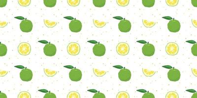 verde yuzu japonês citron fruta padrão sem emenda ilustração vetorial. vetor