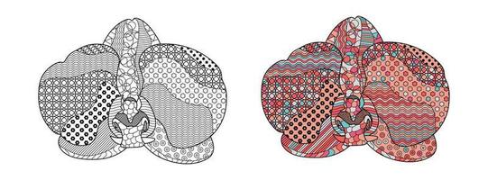 ilustração vetorial, orquídea padrão. design de arte de rabiscos, padrões. arte de linha abstrata para fundo, decoração de parede, elemento de design. ilustração botânica da coleção de padrões vetor