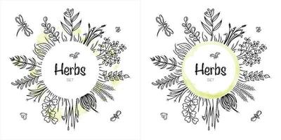 quadro de ervas desenhadas à mão com abelhas, joaninhas e libélula vetor
