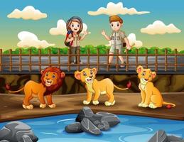 safári menina e menino procurando leões no zoológico vetor