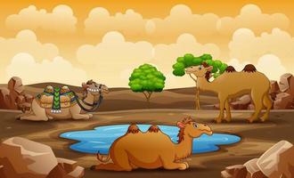 cena com três camelos relaxando no deserto vetor