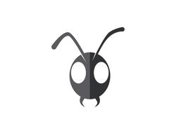 Ilustração em vetor modelo logotipo Ant