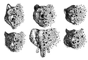 lobo urso macaco tigre e elefante desenho à mão e esboço preto e branco vetor