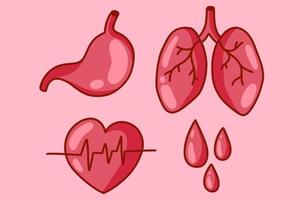 definir órgãos sangues coração pulmões estômago ilustração vetor