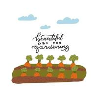 uma cama de cenouras para a horta. texto de letras - lindo dia para jardinagem. ilustração vetorial do trabalho do jardineiro. bandeira da horta. vetor