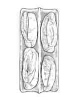 ilustração vetorial de sobremesa de pães de rolo desenhados à mão vetor