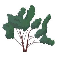 arbusto frondoso verde realista isolado no fundo branco - vetor