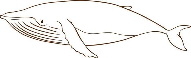 baleia em estilo simples doodle em fundo branco vetor