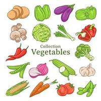 conjunto de ilustrações de vegetais desenhados à mão