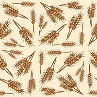 fundo de padrão sem costura de trigo desenhado à mão vetor