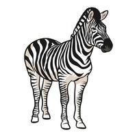 ilustração vetorial de zebra com sombreamento vetor