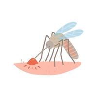 um mosquito na pele humana sugando sangue. ilustração de mão plana desenhada de vetor isolado