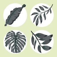 quatro ícones de folhas elegantes vetor