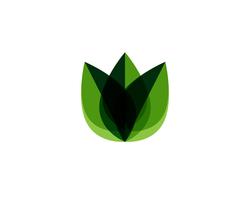 logotipo de natureza verde folha e modelo de vetor