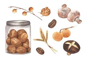 legumes marrons e conjunto de frutas. ilustração em aquarela. vetor