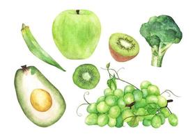 legumes verdes e conjunto de frutas. ilustração em aquarela. vetor
