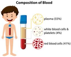 Composição do diagrama de sangue