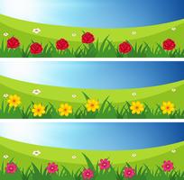 Três cenas de campos com flores vetor