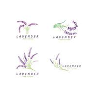 design plano de vetor de logotipo de flor de lavanda fresca