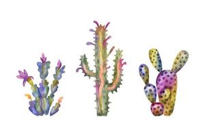 coleção de cactos em aquarela. cactos desenhados à mão e suculentas isoladas em branco vetor