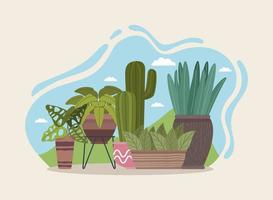 cinco plantas de casa jardinagem vetor