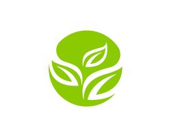 Logotipos de vetor de elemento de natureza ecologia folha verde