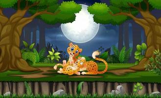 mãe leopardo com seu filhote brincando à noite vetor