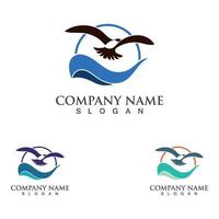 design de logotipo de gaivota, temas, modelos de elementos gráficos animais selvagens vetor