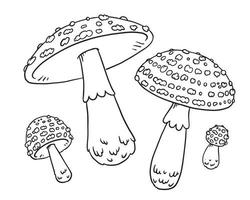desenho de linha preta de cogumelos, vetor
