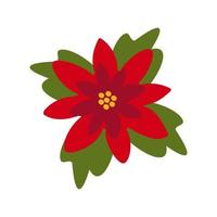 flor vermelha de poinsétia, estrela de natal. clipart vetorial, ilustração isolada em um fundo branco vetor