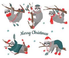 um conjunto de natal de preguiças fofas em árvores em poses diferentes, em roupas quentes de inverno com galhos de abeto. ilustração vetorial de personagens para cartões de férias, design ou decoração vetor