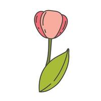 tulipa bonito dos desenhos animados com ilustração vetorial de caule verde. flores da primavera vetor