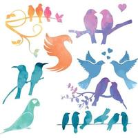 pacotes de pássaros aquarela vetor pardal pomba pombo papagaio passarinho