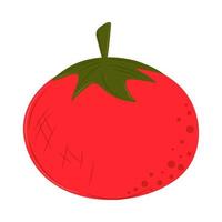 ícone de tomate fresco vetor