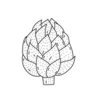 mão desenhada ilustração vetorial de alcachofra em estilo doodle. ilustração fofa de um vegetal em um fundo branco. vetor