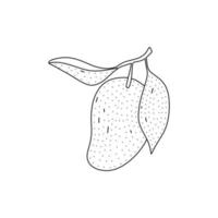 mão desenhada ilustração vetorial de uma manga no estilo doodle. ilustração fofa de uma fruta em um fundo branco. vetor