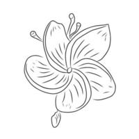 ilustração de flor de estilo de linha vetor
