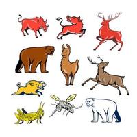 conjunto de desenhos animados de animais selvagens vetor