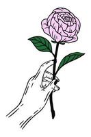 mão de mulheres segurando a ilustração de arte de linha plana de gesto de flor rosa vetor