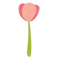 tulipa bonito dos desenhos animados com ilustração vetorial de caule verde. flores da primavera vetor
