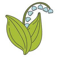 lírio do vale. ilustração vetorial de uma flor de primavera vetor