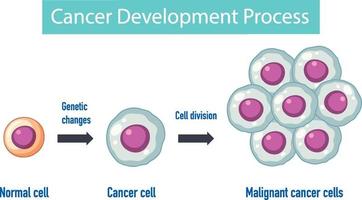 infográfico de processo de desenvolvimento de câncer vetor