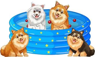 cachorrinhos fofos na piscina de borracha vetor