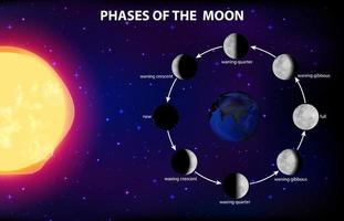 fases da lua para o ensino de ciências vetor